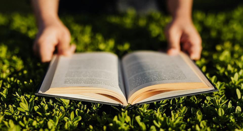 Hände halten ein offenes Buch, Lesen in der Natur.